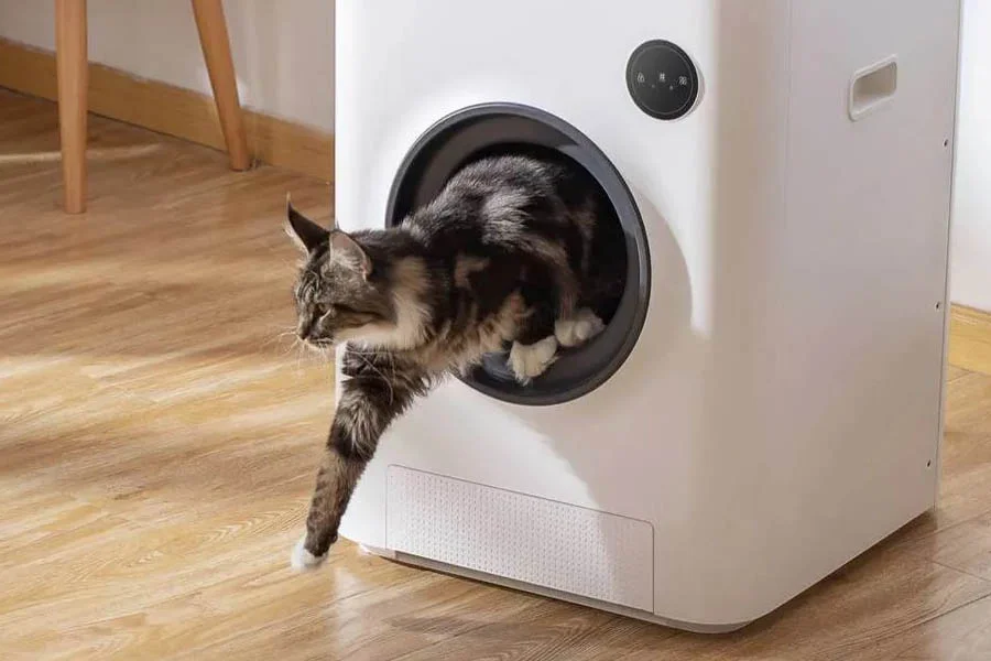 smart cat litter