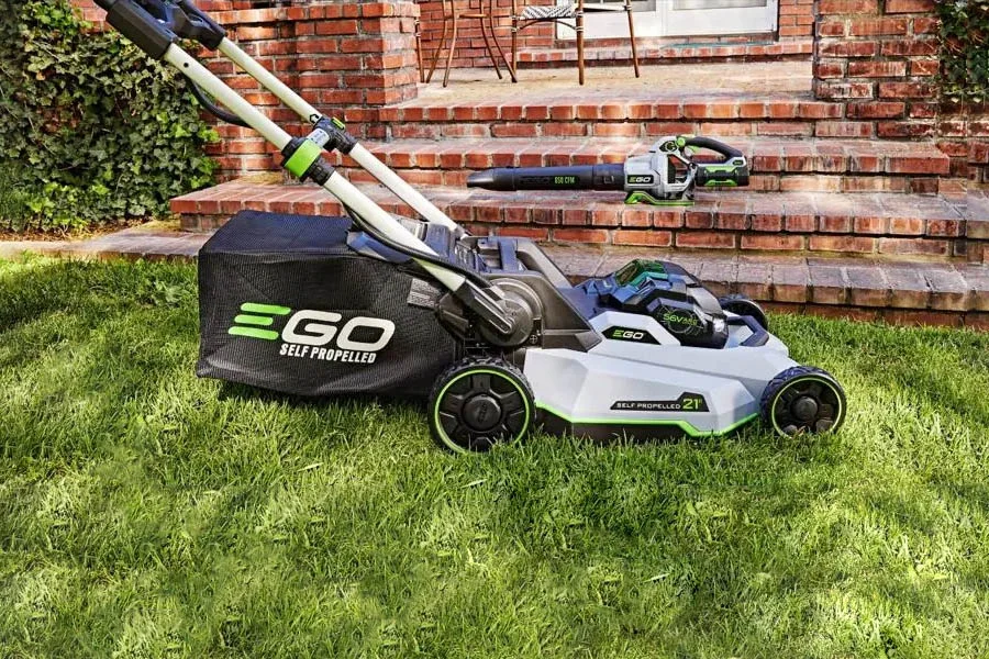 best budget mower