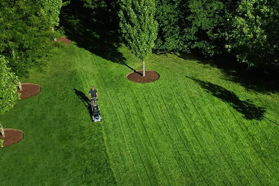 best electric push mower